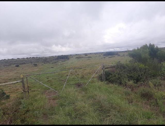 FARM FOR SALE IN MOSSEL BAY RURAL